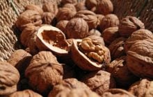 6 причин есть грецкие орехи: эксперты объяснили, что они дают организму