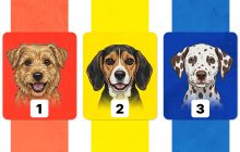 Наскільки ви розумієте свої емоції: психологічний тест із точністю 98%