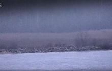 Росіяни влаштували провокацію на кордоні з Естонією, - ERR (відео)