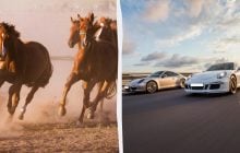 Коні під капотом: хто і навіщо придумав вимірювати потужність двигуна в кінських силах