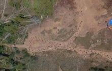 Понад 150 млн років тому кульгавий динозавр залишив "закручену" стежку: як це можливо