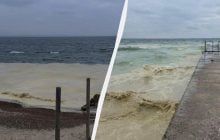 Из-за атак РФ в море попали тонны масла: над Одессой нависла экологическая катастрофа