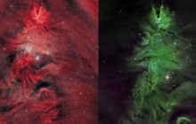 Космічна ялинка: астрономи зафіксували незвичайне зоряне скупчення