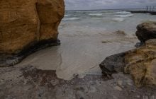 Одеський зоопарк, де після атаки РФ рятують сотні птахів, опинився на межі колапсу