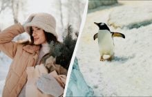 Велике свято 27 грудня 2025: кого привітати з днем ангела сьогодні