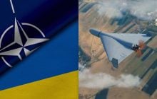 НАТО просить в України допомоги в пошуку дешевих засобів знищення дронів, - BI