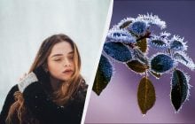 Что обязательно нужно приготовить 28 декабря 2025: обычаи в праздник сегодня