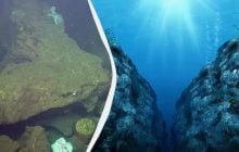 Де розташована Маріанська западина і хто там мешкає: таємниці найглибшого місця на Землі