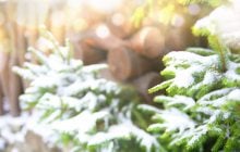 В Украину идет долгожданное потепление, но радоваться рано, - прогноз синоптика