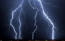 Дерева можуть "іскрити" під час грози: вчені вперше помітили унікальне явище