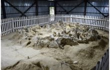 Люди на території України змогли пережити льодовиковий період завдяки мамонтам