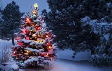 31 декабря в Украине будет мороз и снег