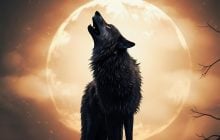 Вовчий Місяць у січні 2026: коли буде перша суперповня року і чим вона небезпечна