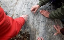 Геологи нашли в скале тоннели, которые указывают на существование неизвестного существа