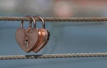 Ученые перечислили 6 видов животных, которые всю жизнь живут с одним партнером