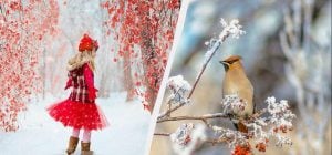 Що потрібно зробити в спальні: усі свята 8 грудня 2025 та звичаї на щастя