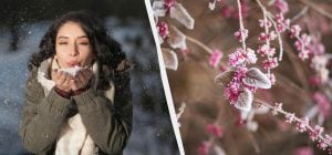 12 грудня в Україні настає велике свято: кого привітати і що не можна робити