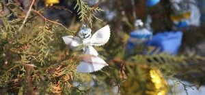 Как сохранить аромат новогодней елки надолго: неожиданные советы экспертов