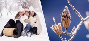 17 декабря - большой праздник в Украине: что отметить и кого поздравить сегодня