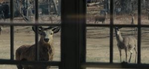 Вышел первый трейлер нового загадочного фильма Спилберга