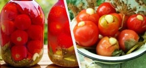 Обалденные квашеные помидоры с горчицей: рецепт на миллион - все хотят добавки