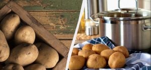 Картопля не проростає і не зморщується 6 місяців: ось у чому її потрібно зберігати