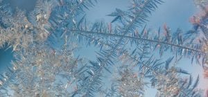 Різдво в Україні буде з морозами до -13°, - синоптикиня Діденко