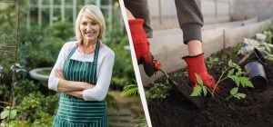 Найточніший посівний календар на січень 2026: що посадити на розсаду обов'язково