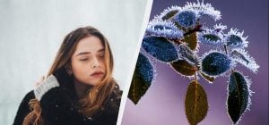 Що обов'язково потрібно приготувати 28 грудня 2025 року: звичаї у свято сьогодні