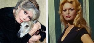 Померла легендарна Бріжит Бардо, - ЗМІ