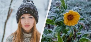 29 грудня - нещасливий день: що небезпечно робити у свято сьогодні