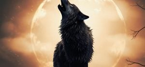 Вовчий Місяць у січні 2026: коли буде перша суперповня року і чим вона небезпечна