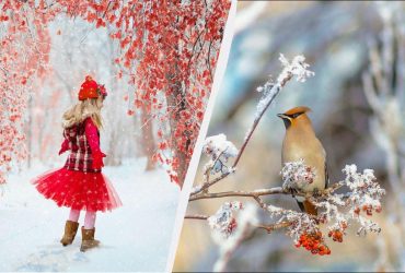 Що потрібно зробити в спальні: усі свята 8 грудня 2025 та звичаї на щастя