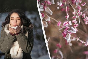 12 декабря в Украине наступает большой праздник: кого поздравить и что нельзя делать