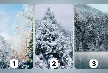 Куди веде вас доля: який пейзаж ви оберете - тест на особистість