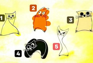 Вибір кішки розповість, якою людиною вас вважають близькі: дуже точний тест