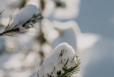 30 декабря сильных морозов в Украине не будет, но есть неприятный нюанс