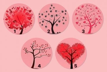 Добрый ли вы человек: какое дерево вы выберете - психологический тест