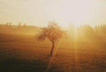 Человечество вошло в коридор самых жарких лет в истории, - ученые