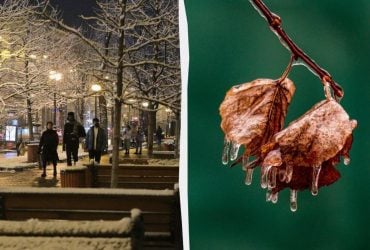 От весенних +11° до морозов: синоптик Диденко рассказала о погодных качелях после 11 декабря