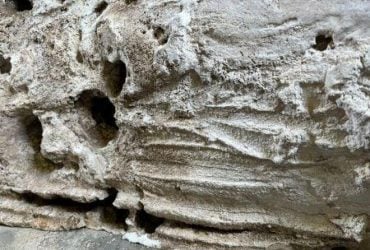 Римляне изготавливали специальную жидкую гипсовую пасту для покойников: зачем они это делали