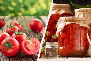 Какие помидоры полезнее - свежие или консервированные: 3 диетолога ответили одинаково