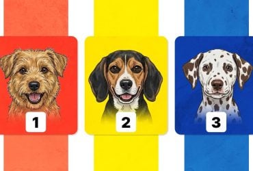 Наскільки ви розумієте свої емоції: психологічний тест із точністю 98%