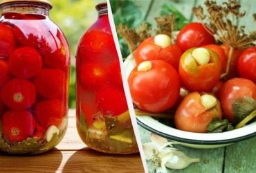 Неймовірні квашені помідори з гірчицею: рецепт на мільйон - усі хочуть добавки