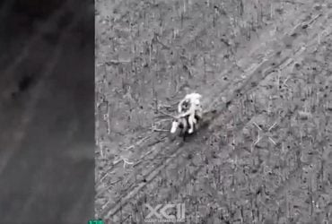 Штурмують позиції верхи на конях: Forbes розповів про нову тактику росіян (відео)