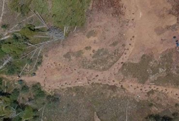 Понад 150 млн років тому кульгавий динозавр залишив закручену стежку: як це можливо