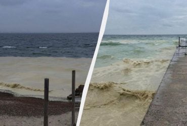 Через атаки РФ у море потрапили тонни олії: над Одесою нависла екологічна катастрофа