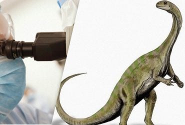 Ученим вдалося зазирнути всередину ембріонів динозаврів: що вони побачили (фото)