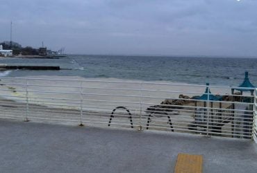 Олія зникне, але наслідки залишаться: експерт висловився про екологічну катастрофу в Одесі