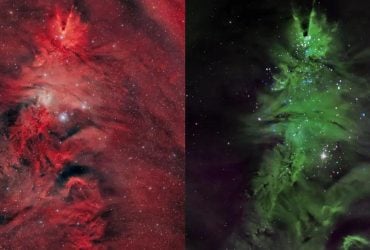 Космическая елка: астрономы зафиксировали необычное звездное скопление